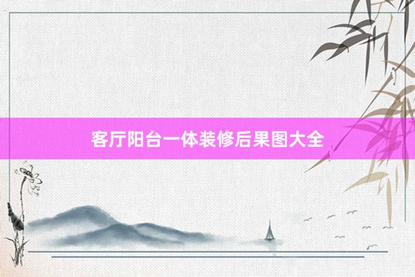客厅阳台一体装修后果图大全