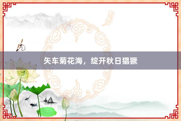 矢车菊花海，绽开秋日猖獗