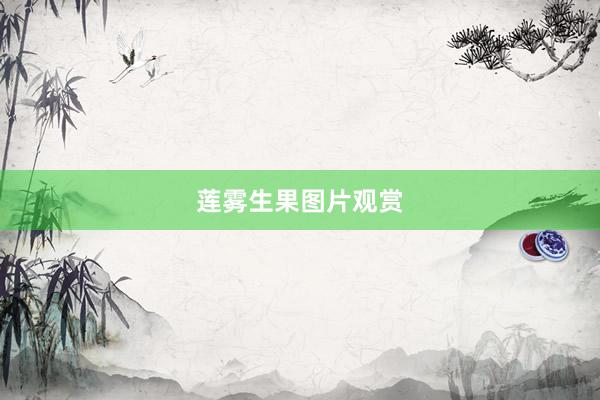 莲雾生果图片观赏